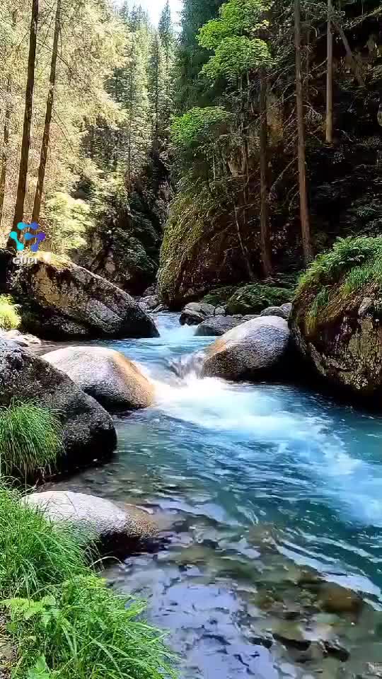 Video de @gupiuser379860