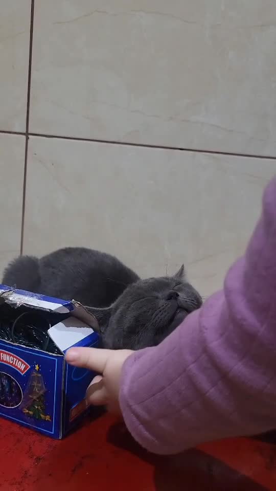 #Luna