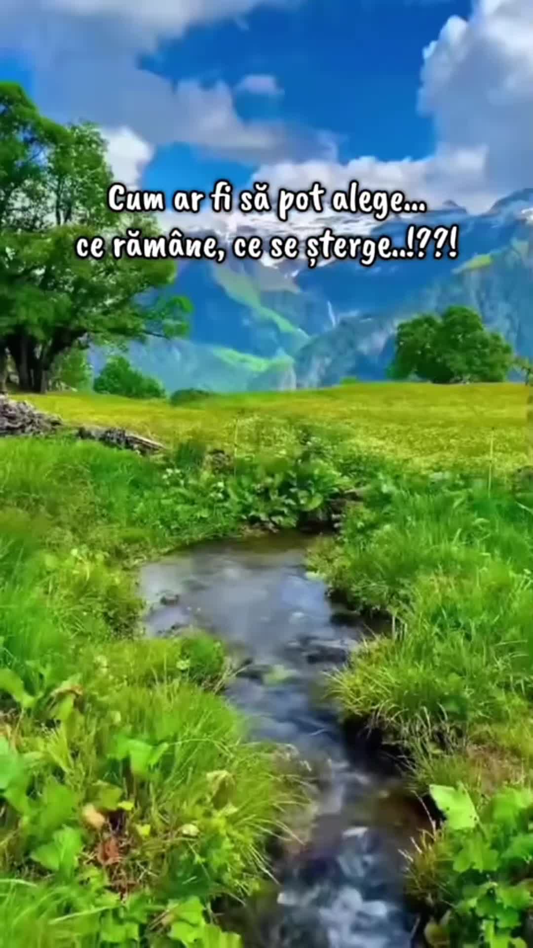 Video de @gupiuser971158