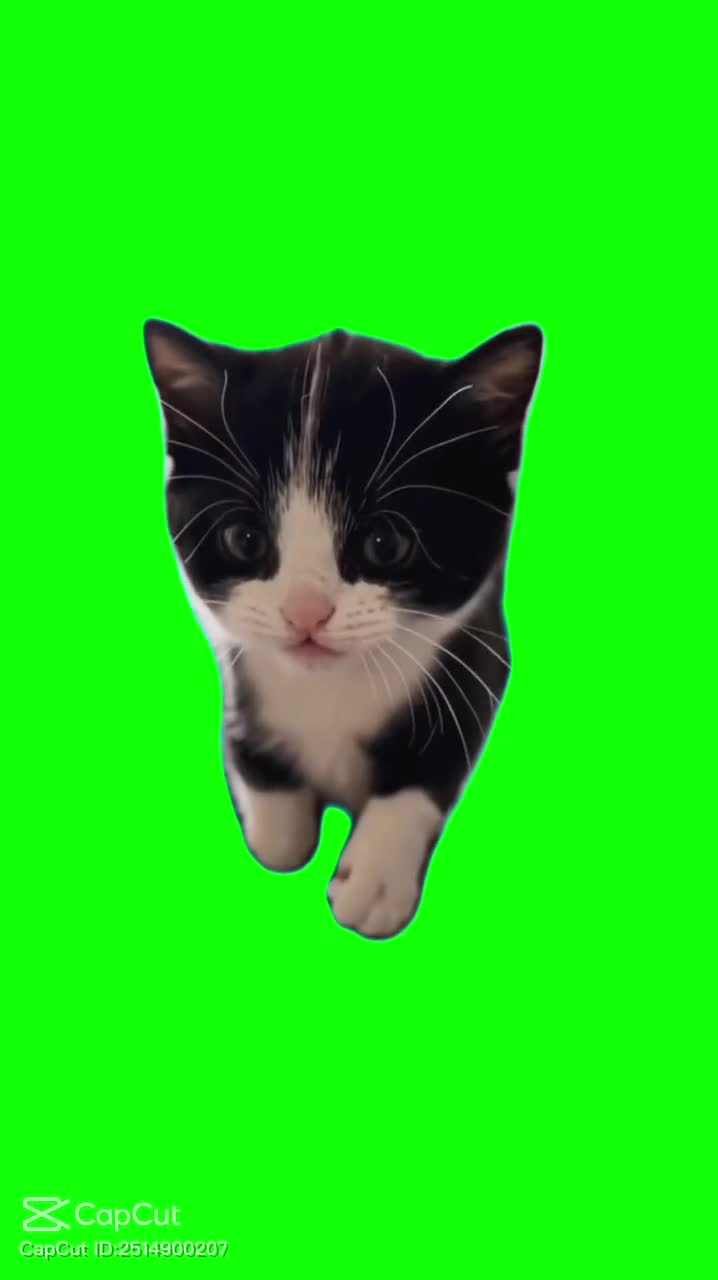 Video de @gupiuser104648