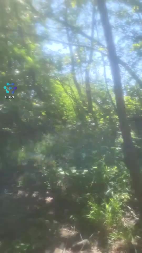 Video de @gupiuser144433