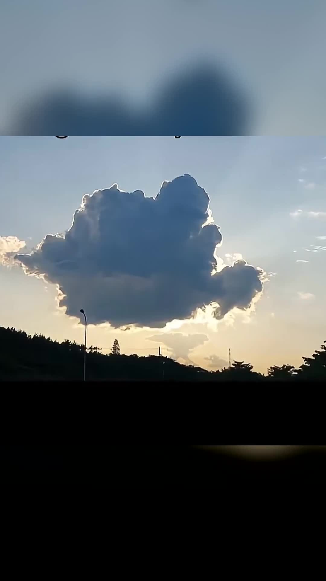Video de @gupiuser126689