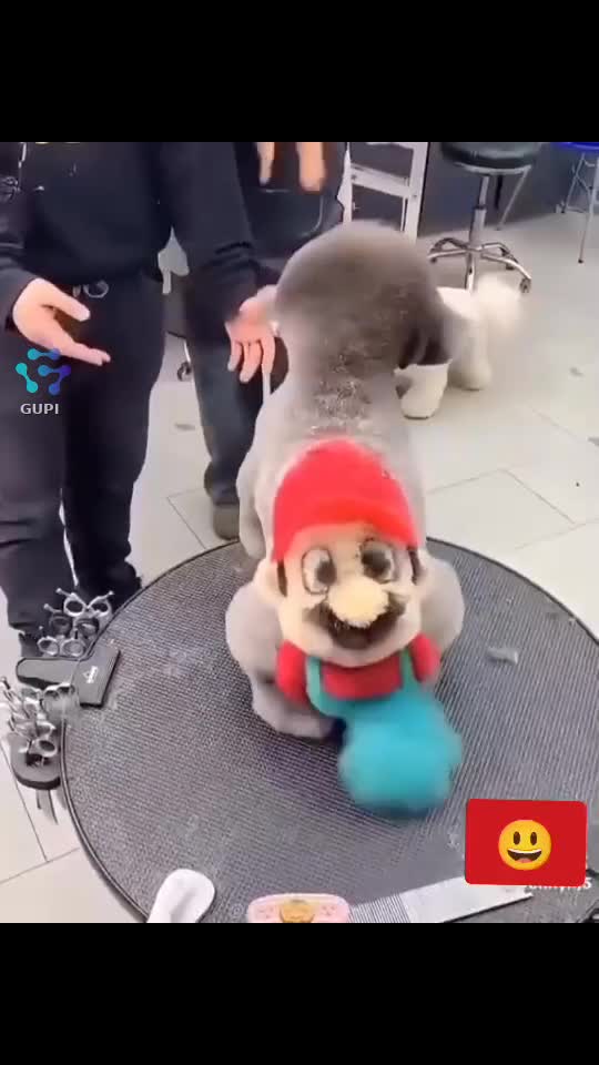 🤣🤣