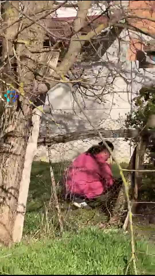 Video de @gupiuser329236