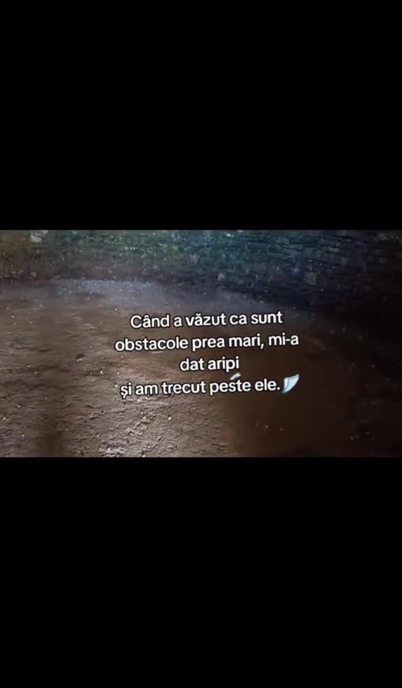 #🦋💙