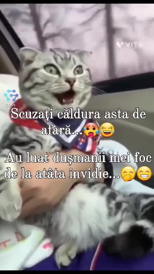 Video de @gupiuser156683