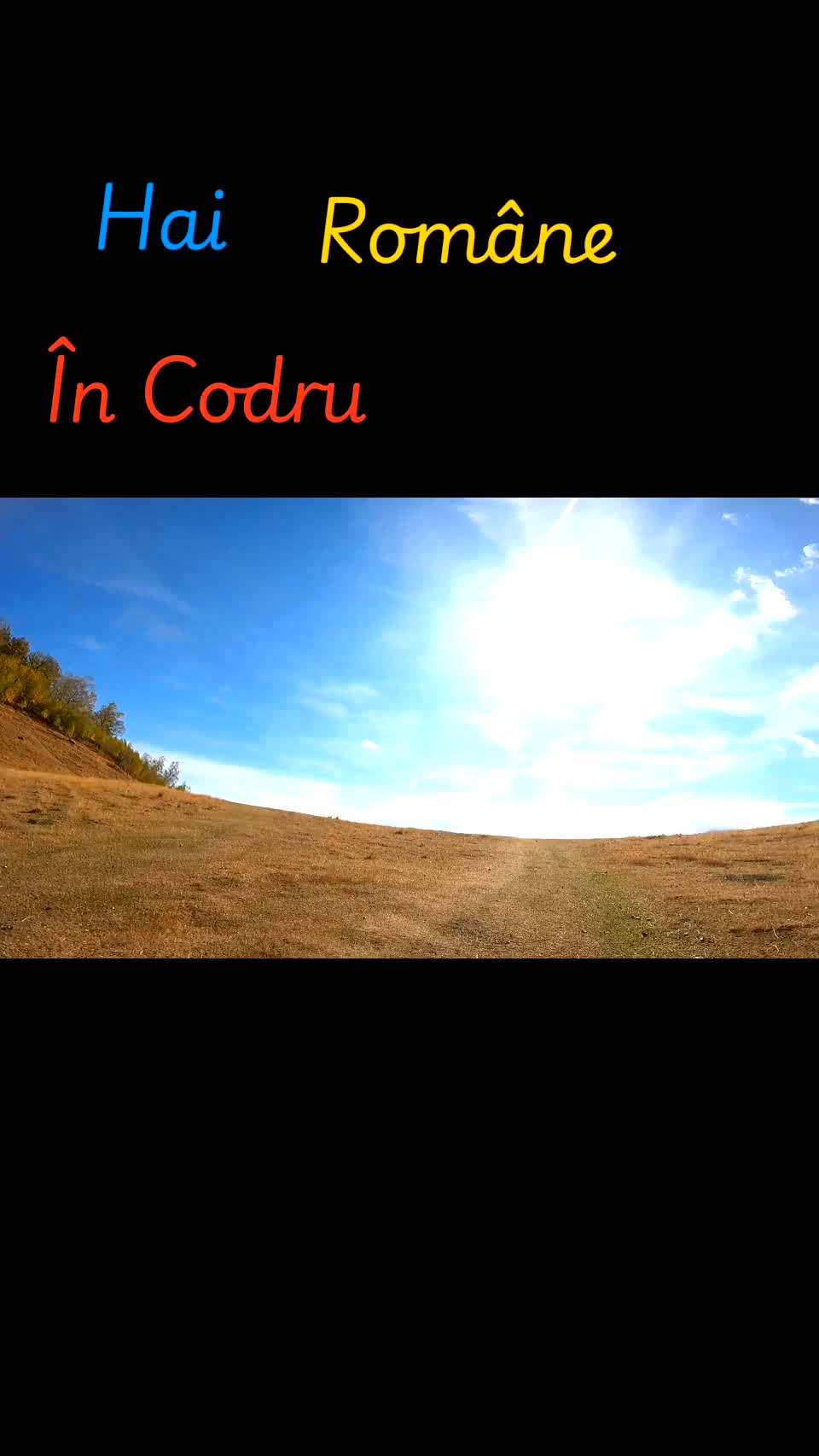 Video de @FLRica06