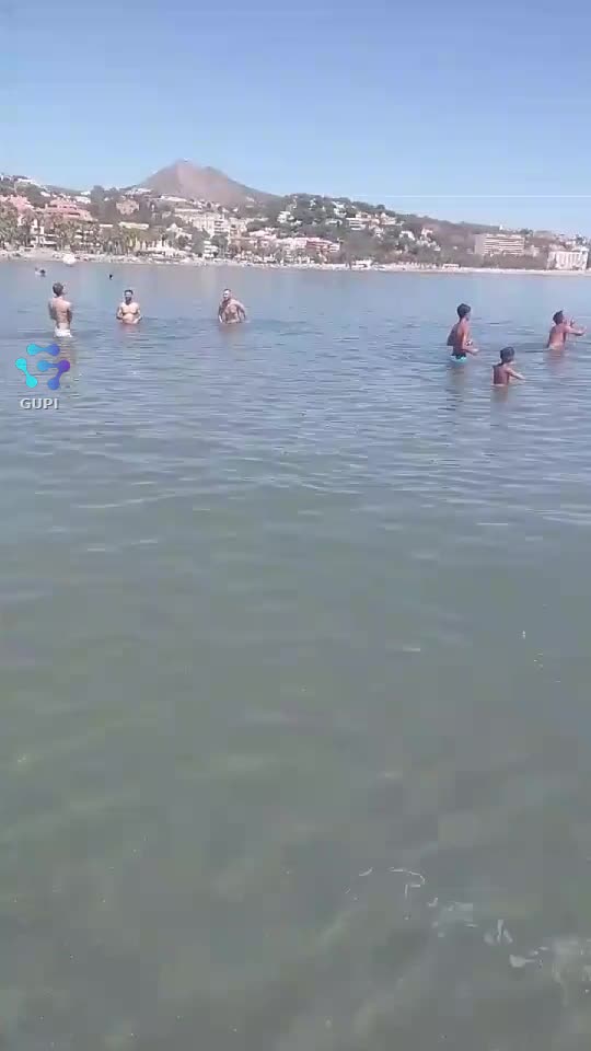 Video de @gupiuser158910