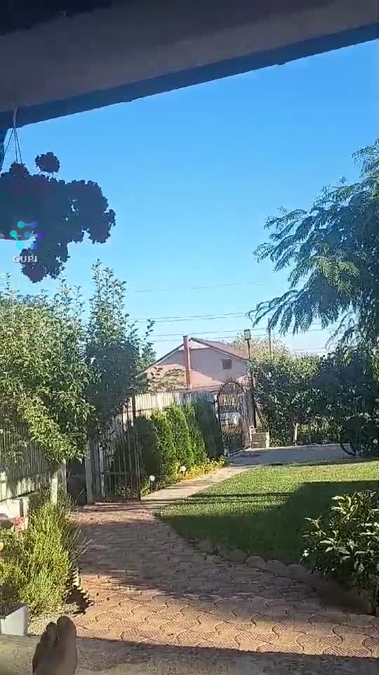 Video de @gupiuser351373