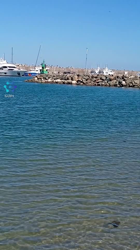 Video de @gupiuser131633
