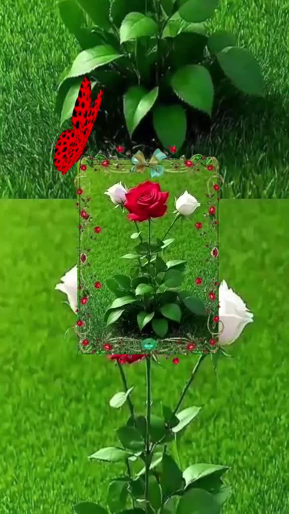 Video de @gupiuser986986