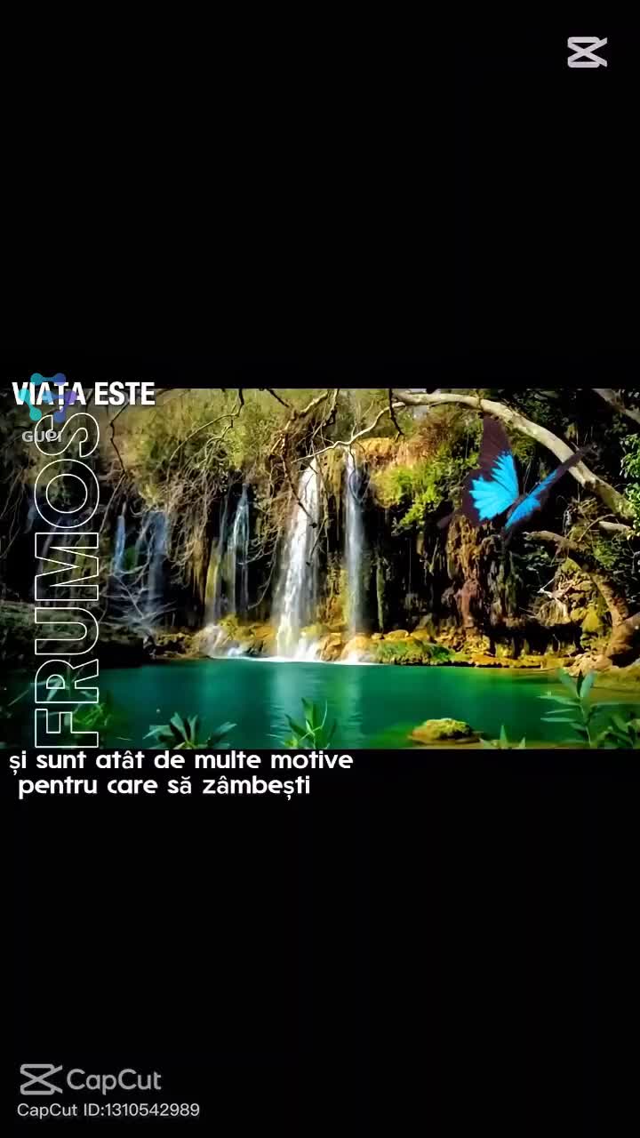 Viața este frumoasa