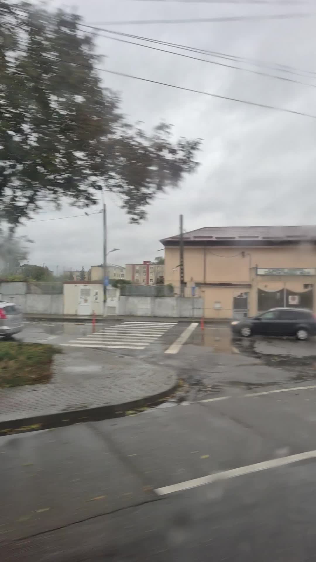 Video de @gupiuser1013487