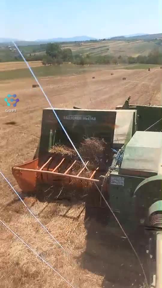 Video de @gupiuser391951