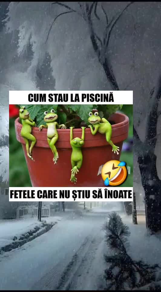 🇷🇴🤪🇷🇴#🇷🇴🤣🤣