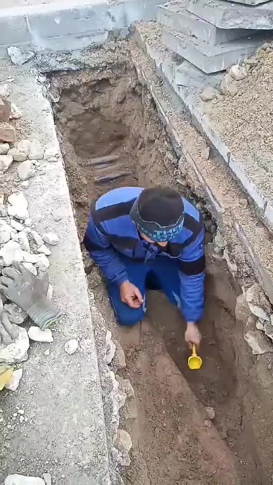 Veselie 🤣