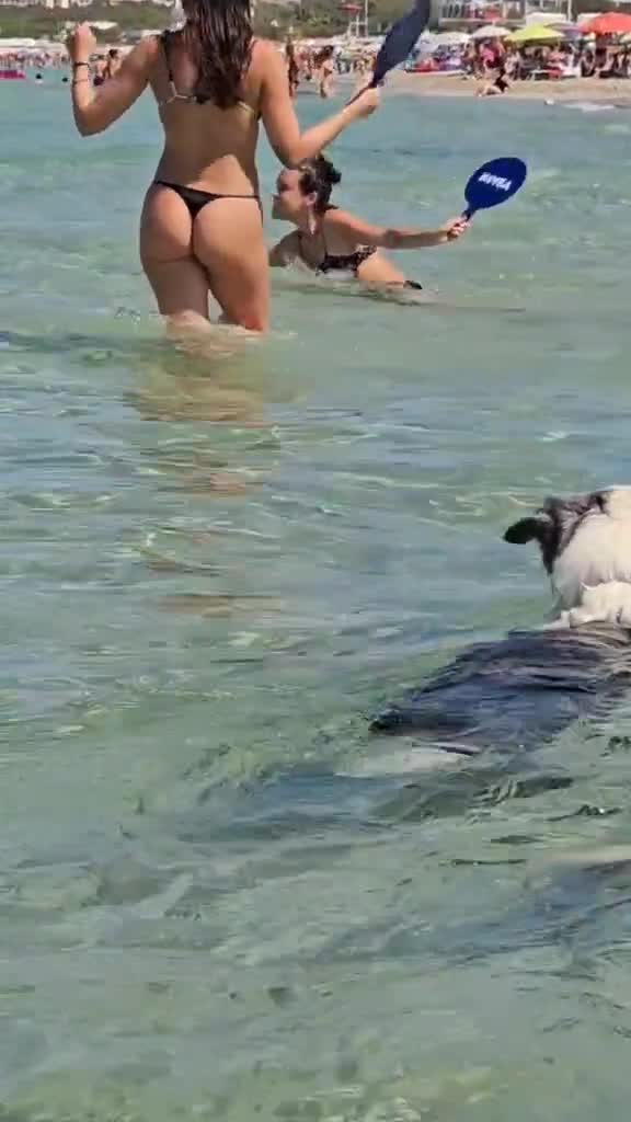 atunci cand te pierzi o secundă 🤣🤣🤣🤣
ce culoare avea discul ??? 🤣🤣