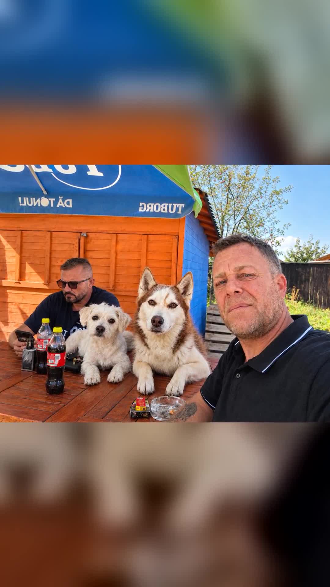 Unde esti Prieten drag🤔 Un semn nu dai si tu😌