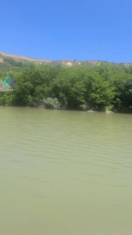 Video de @gupiuser419410