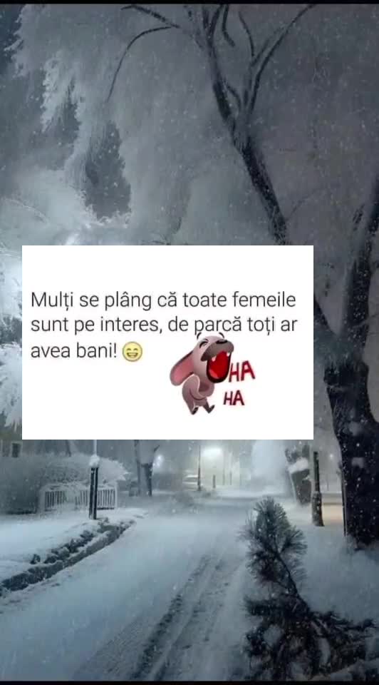 🇷🇴🤪🇷🇴#🇷🇴🤣🤣