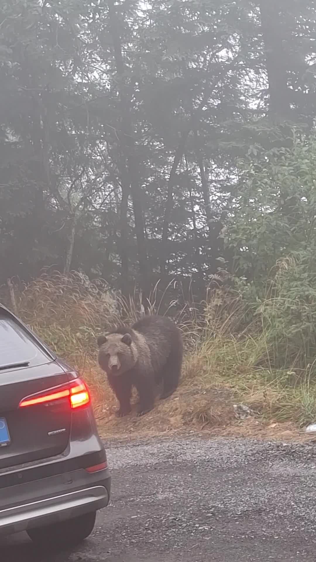 e si el micuț!