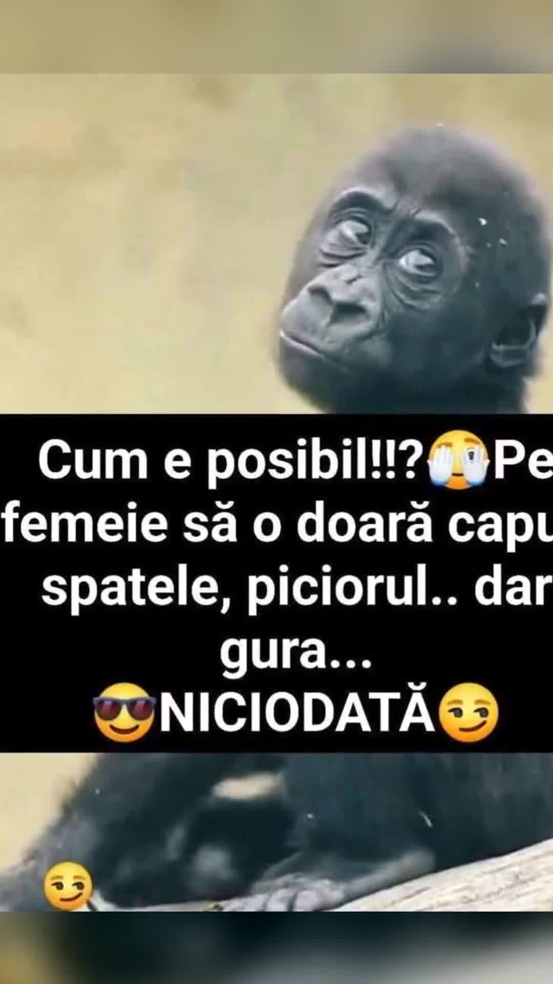 Video de @gupiuser938725