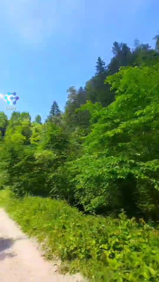 Video de @FLRica06