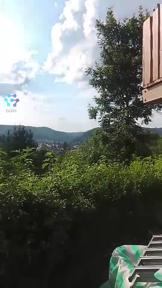 Video de @gupiuser155431