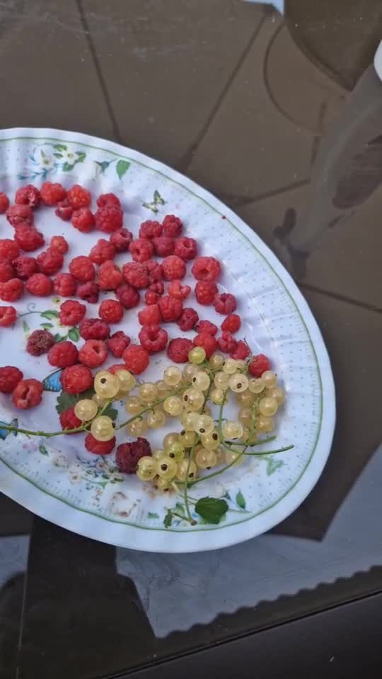 din grădină 😋