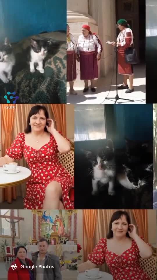 Video de @gupiuser329087