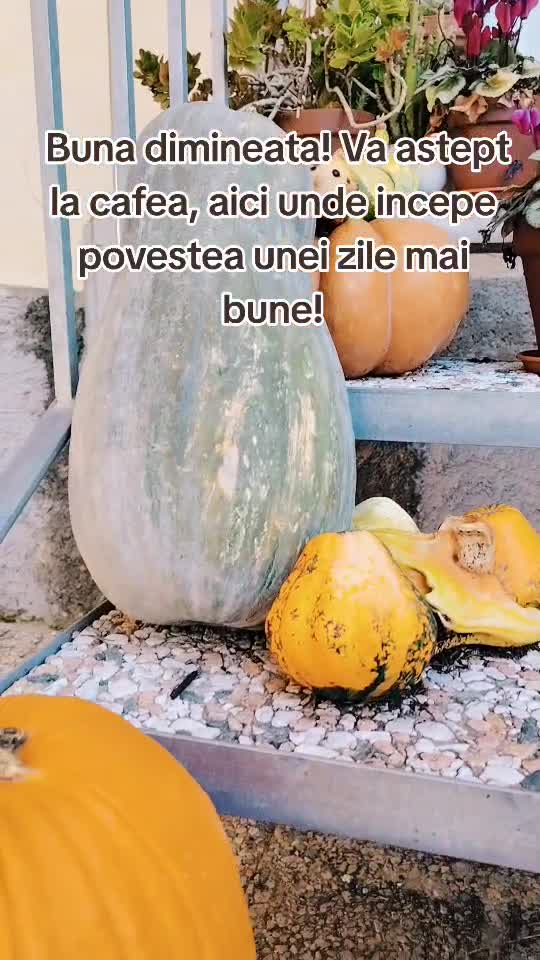 Buna dimineata cu energie
Weekend minunat să avem ☕