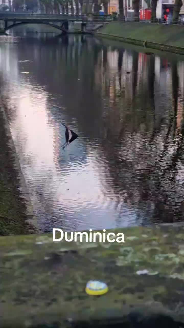 o zi și azi