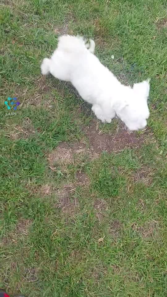 bucuria unui om🥰🥰