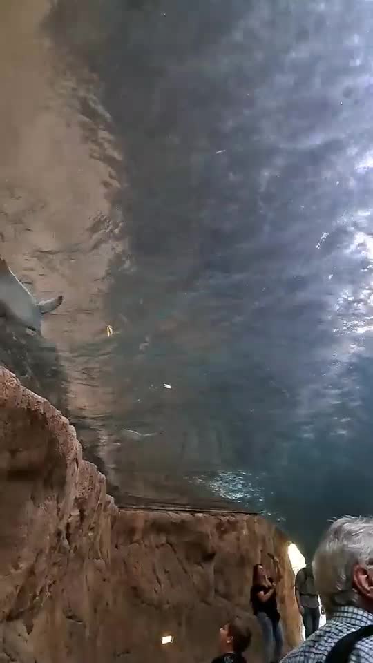 Mergem pe sub apa nu pe apa ca altii... :))
