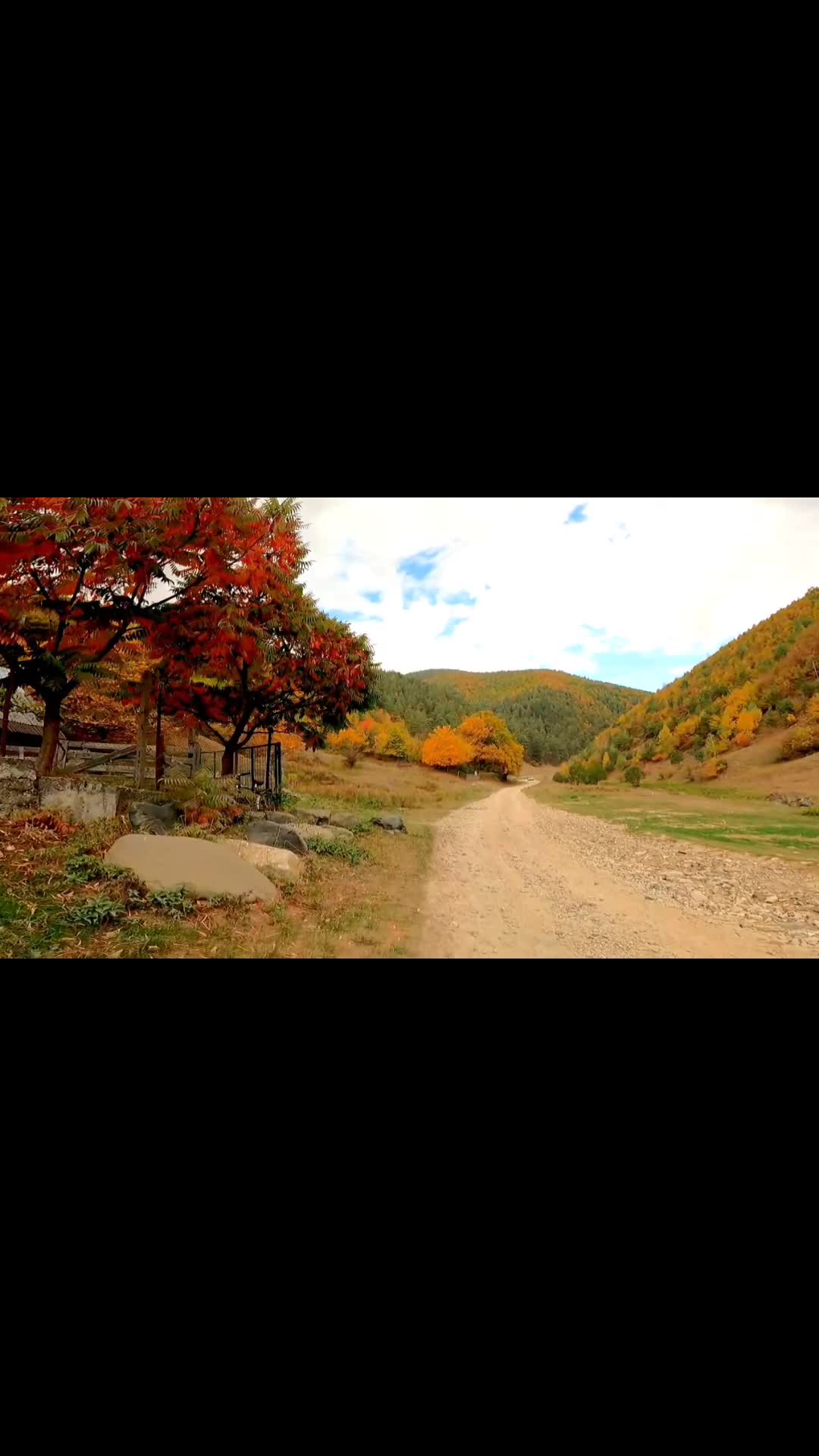 Video de @FLRica06
