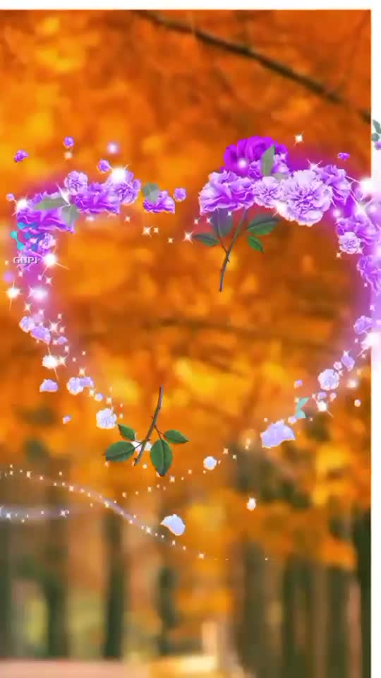 Video de @gupiuser152651