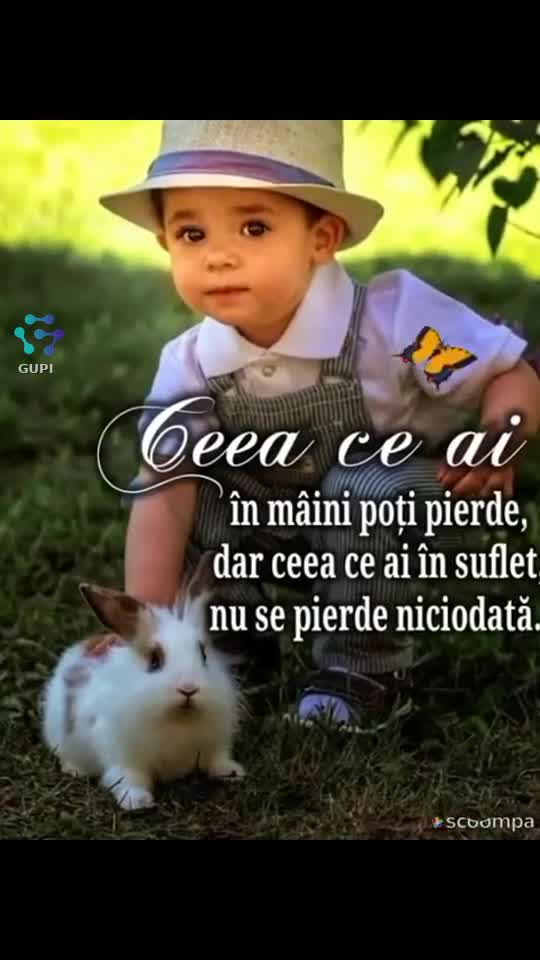 Video de @gupiuser94724