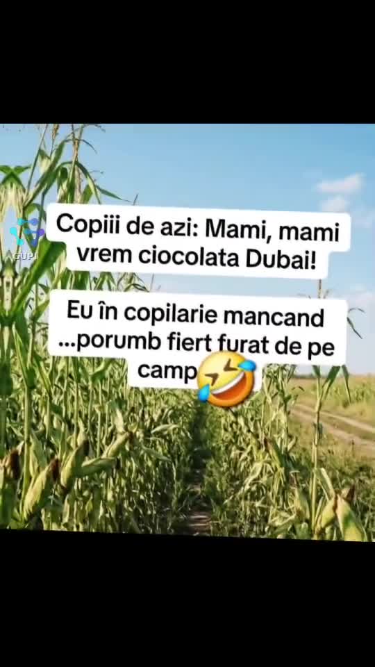 Video de @gupiuser144503