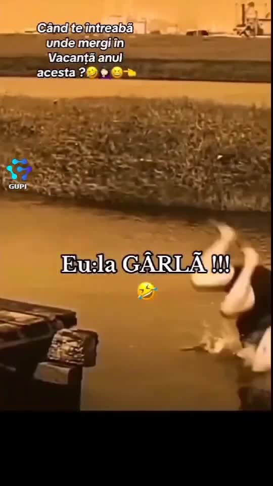 Video de @gupiuser371685