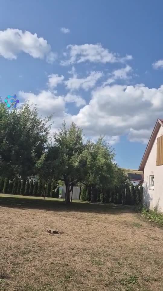 Video de @gupiuser158922