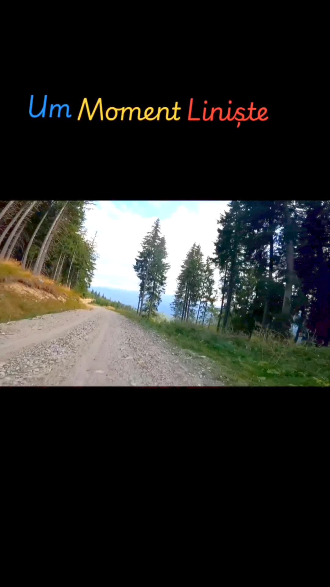 Video de @FLRica06