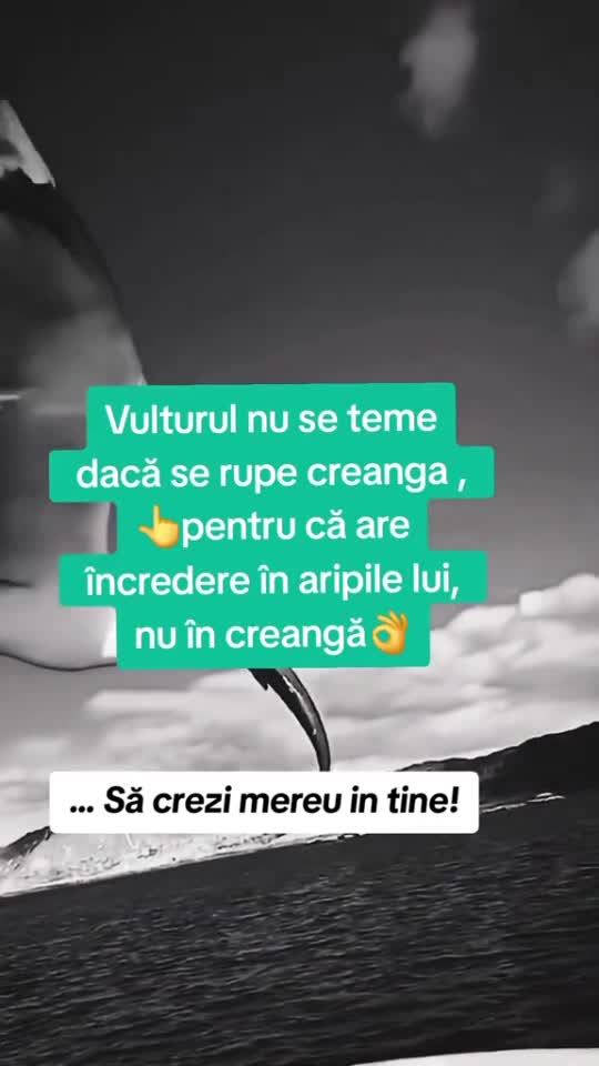 🇷🇴🤪🇷🇴#🇷🇴🤣🤣