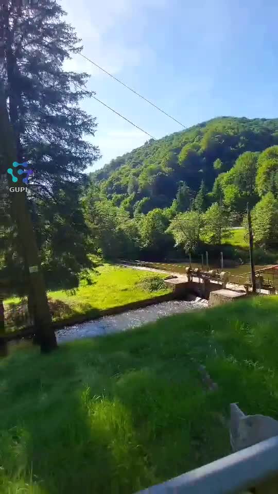 Video de @FLRica06