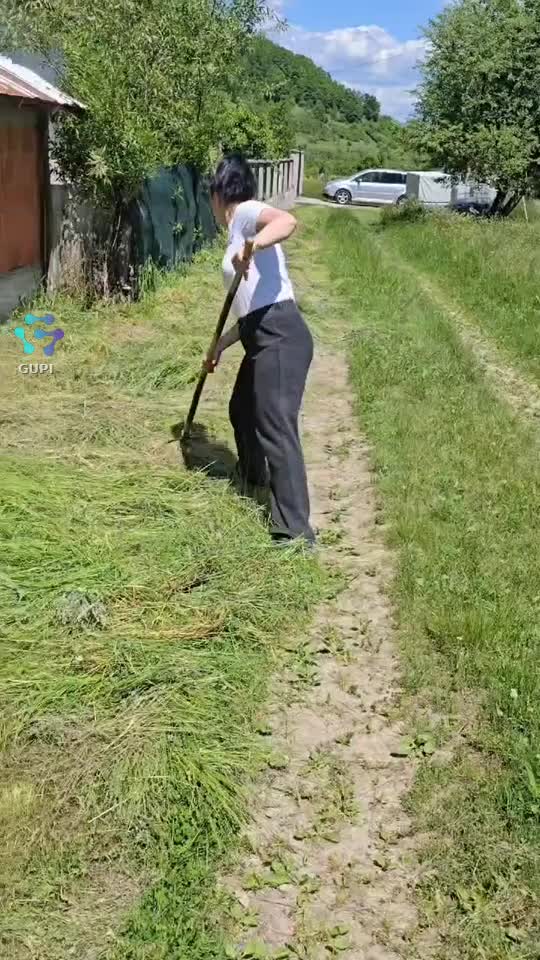 Fain la țară.....