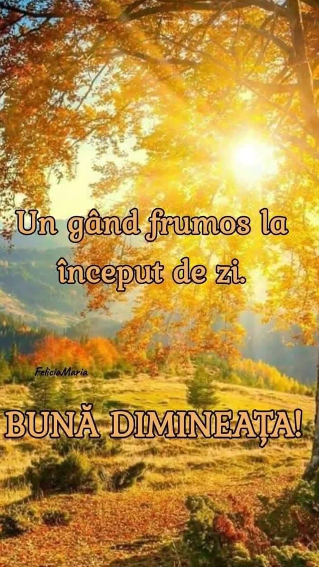 Video de @gupiuser1051259
