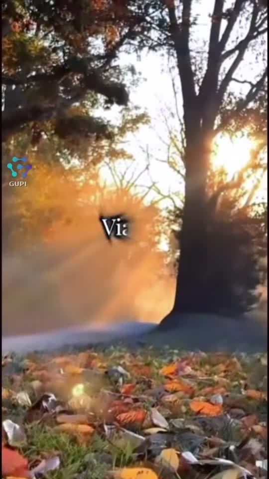 ☝️