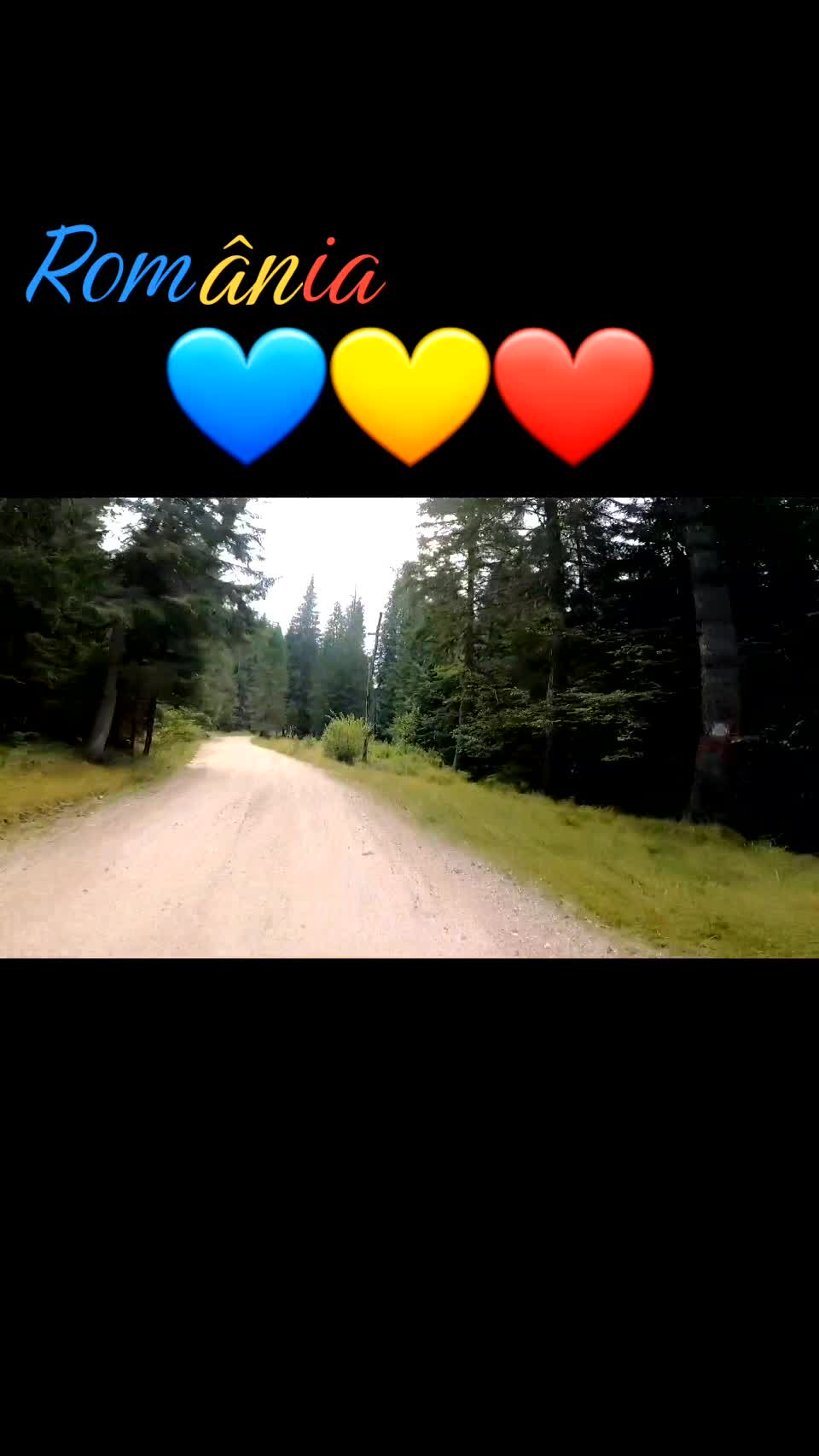 Video de @FLRica06