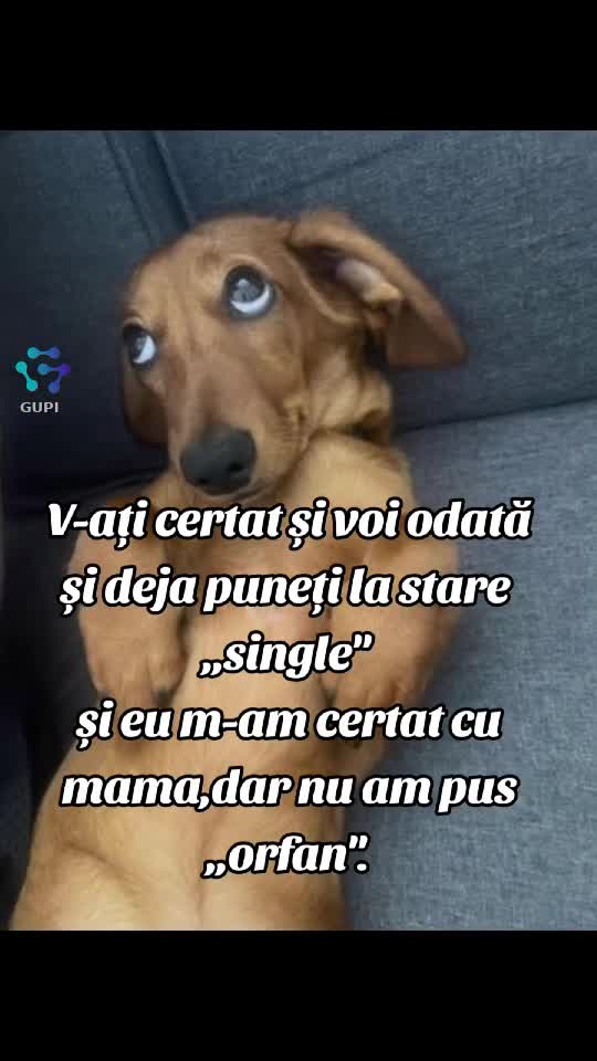 Video de @gupiuser144503