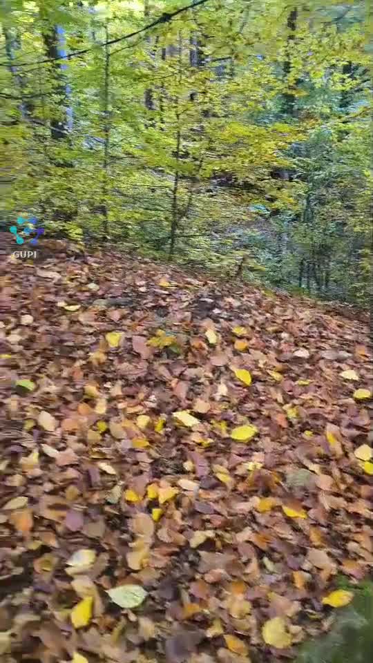 Video de @gupiuser638196