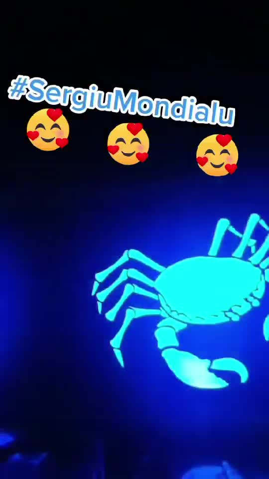 O SEARA FAINA VA DORESC TUTUROR !! 🥰😇😘